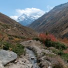 Annapurna Autumn V